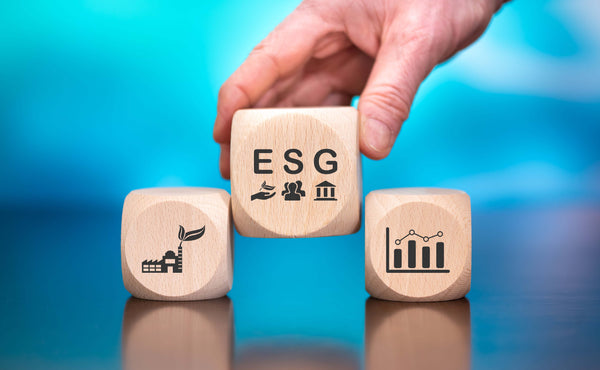 The Truth About ESG Goals: Why Companies Are Falling Short and Engaging in Greenwashing